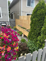 Coastline Cedar privacy planter installed along a property line with flowers