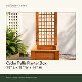 Cedar Trellis Planter Box dimensions: 18 by 18 by 14 inches