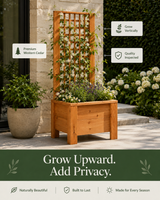 Cedar Trellis Planter Box 18″ × 18″ with climbing plants — grow vertically and add privacy