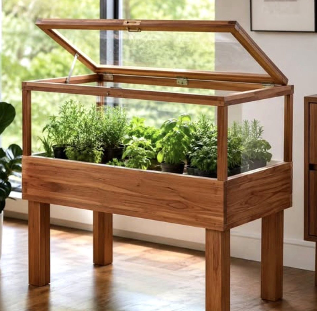 Raised cedar herb planter with a hinged glass cold-frame lid and potted herbs